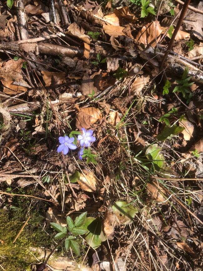 Jag är orolig för dig , hur kan jag hjälpa dig?     En text om hur vi genom det coachande förhållningssättet kan skapa trygghet.