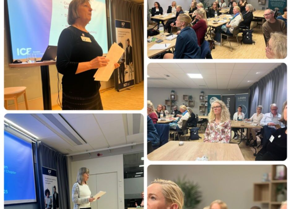 Träff med styrelsen